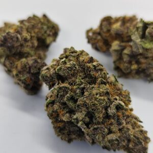 Caliusa Tropicana cherry⭐⭐⭐⭐⭐