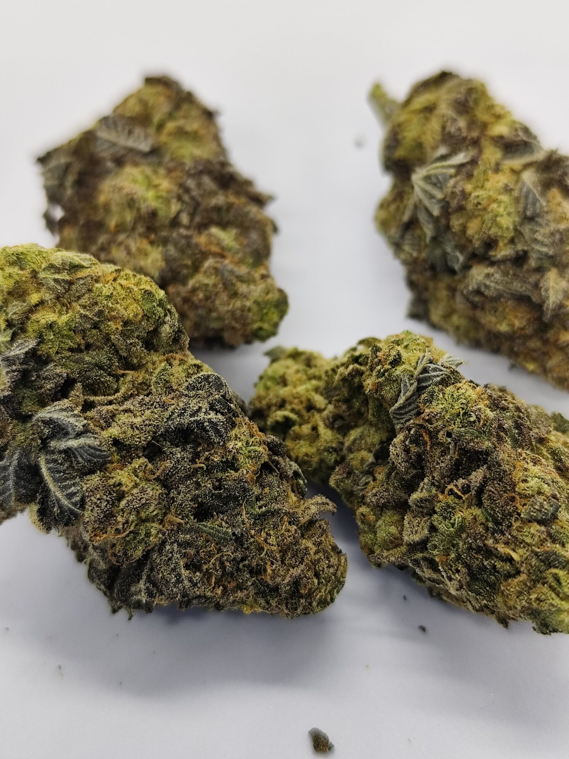 Caliusa Blue Dream ⭐⭐⭐⭐⭐ - immagine 2