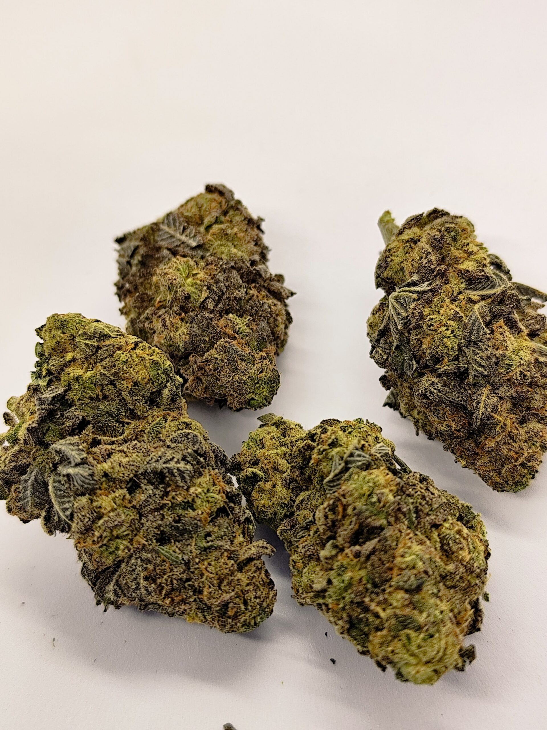 Caliusa Blue Dream ⭐⭐⭐⭐⭐